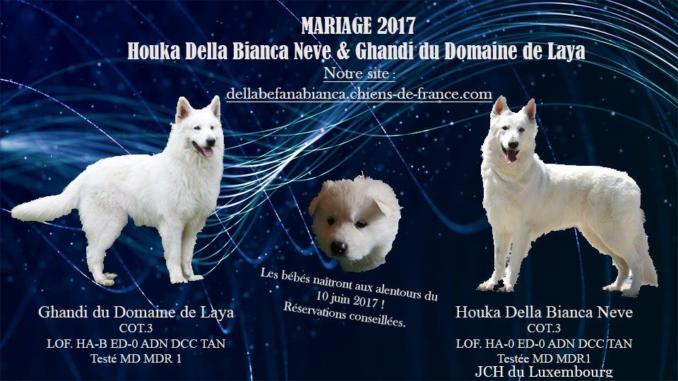 Della Befana Bianca - Mariage 2017 !