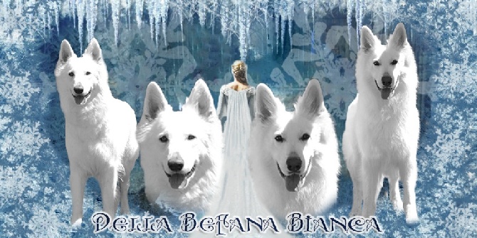 Della Befana Bianca - PORTÉE 2014 À VENIR !