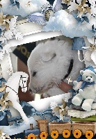 CHIOT